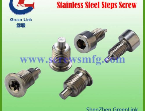 Stainless Steel Steps Screw