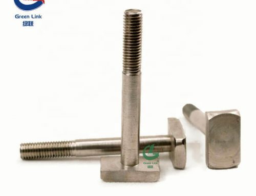 Stainless Steel T Bolt